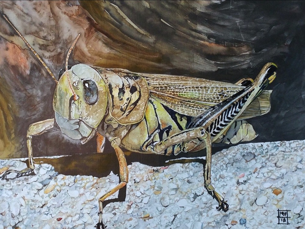 brad fields Indiana Artists Club Indiana Artists Club